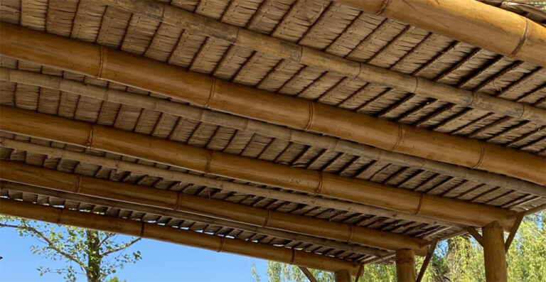 BL-Blogartikel-Bambus-vs-Holz